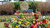 Blumen und Gebinde schmücken eine Urnengrabanlage. 