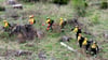 Auf dem Weg zur Einsatzstelle oberhalb der Gleise.
