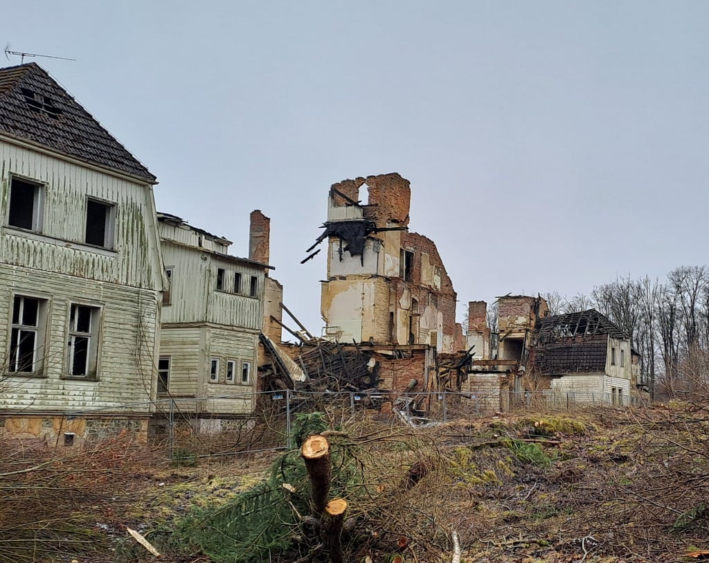Auf dem ehemaligen Klinikgelände in Stiege (Harz) soll ein Feriendorf entstehen. Doch zugleich befindet sich auch eine Fledermaus-Wohnstube auf dem Gebiet.