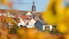 Der kleine Winzerort Kallstadt an der Weinstraße ist der Heimatort von Trumps Vorfahren. (Archivbild)