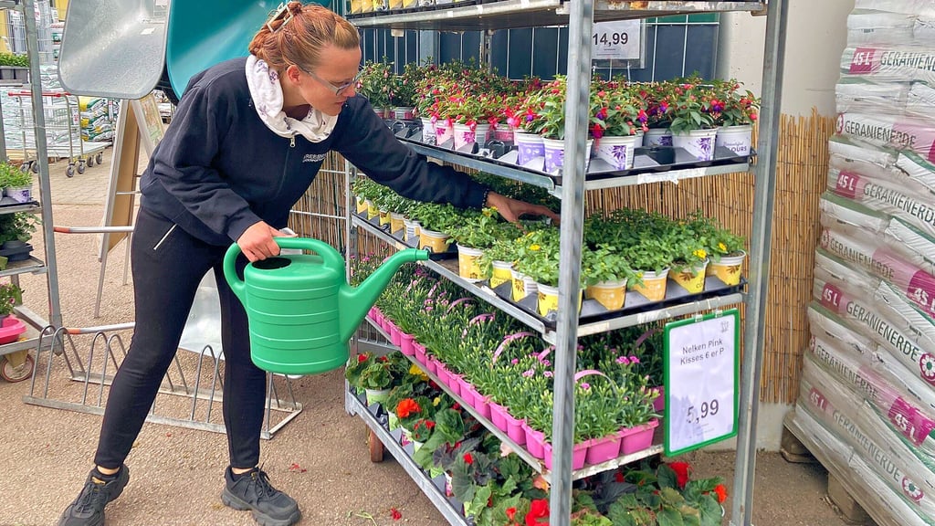 Filialleiterin Andrea Schüler kümmert sich um frisch angelieferte Blumen und Pflanzen im Außenbereich.