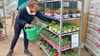 Filialleiterin Andrea Schüler kümmert sich um frisch angelieferte Blumen und Pflanzen im Außenbereich.