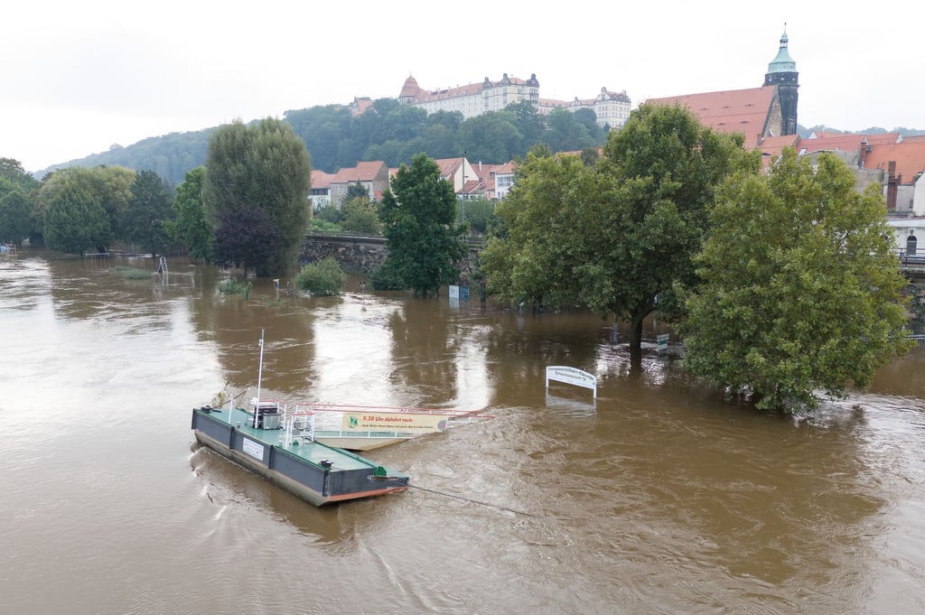 Der Pirnaer Skulpturensommer 2025 steht unter dem Motto Resonanz. (Archivbild)
