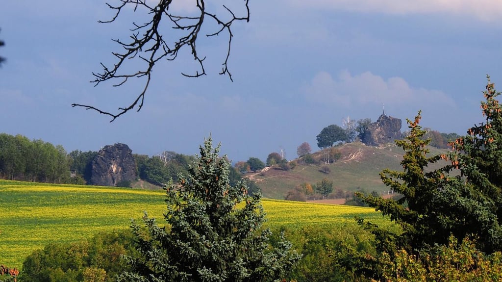 Die Gegensteine bei Ballenstedt gehören zu den Ausflugszielen der diesjährigen Aktion "Falkenstein radelt und wandert in den Sommer".