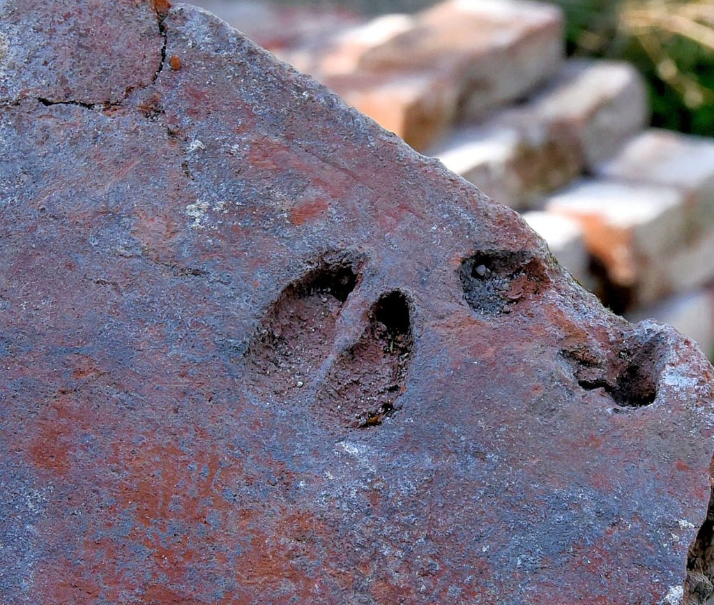 Dieser gut 350 Jahre alte Hufabdruck eines Rehs wurde bei vorbereitenden Sanierungsarbeiten des Barbyer Herrenhauses gefunden.