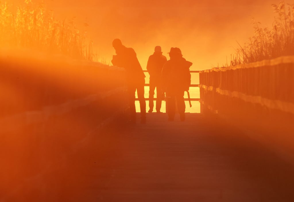 Die Sonne zeigt sich Mitte Mai häufig in Sachsen-Anhalt.