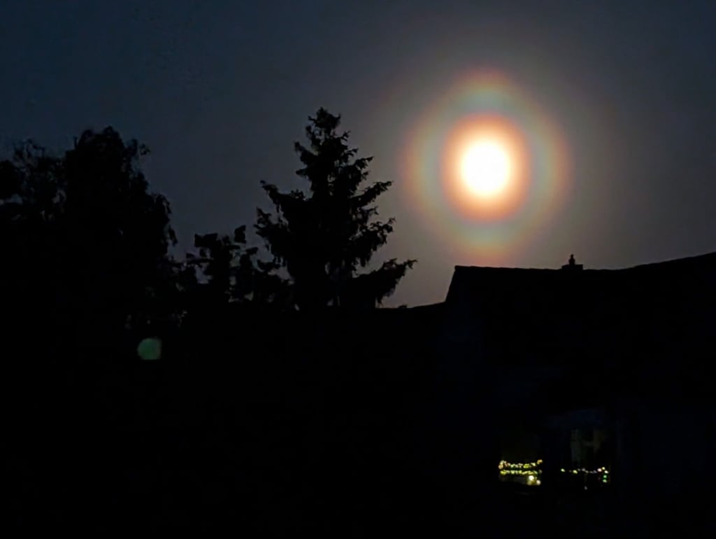 Der Vollmond bot am Montagabend einen besonderen Anblick. Es war der letzte Frühlingsvollmond 2025: Der "Blumenmond".