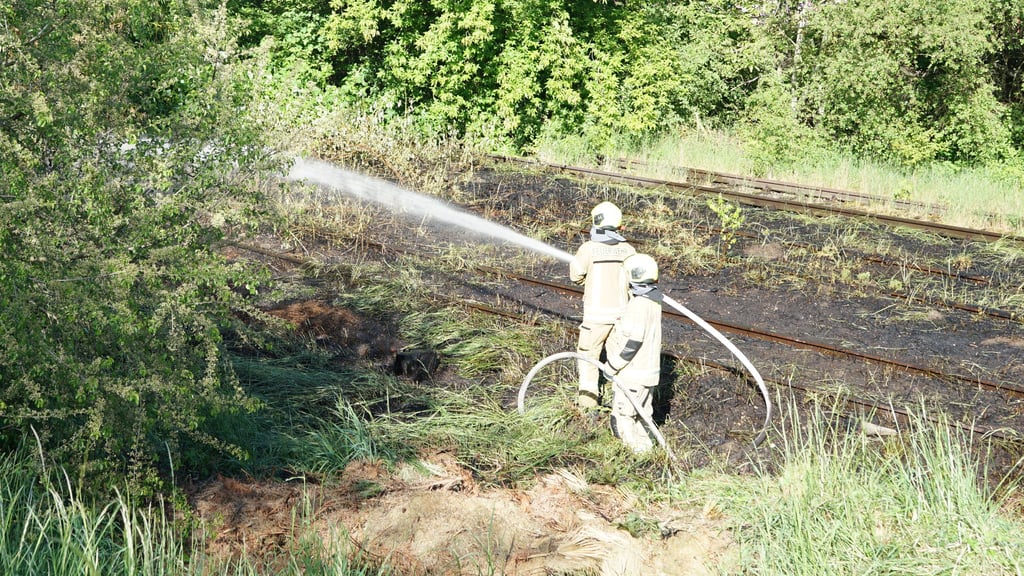 Ödlandbrand in der Moortalstraße - Schlimmeres ist verhindert.