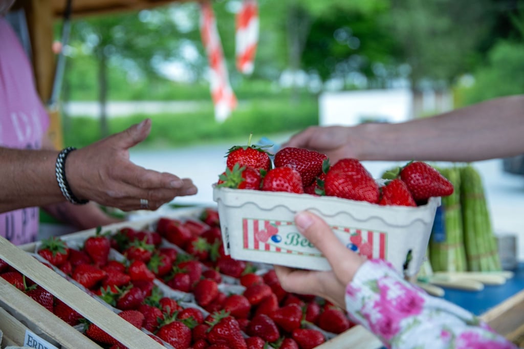 Rund 3,3 Kilo Erdbeeren essen die Menschen in Deutschland durchschnittlich im Jahr. (Archivbild)