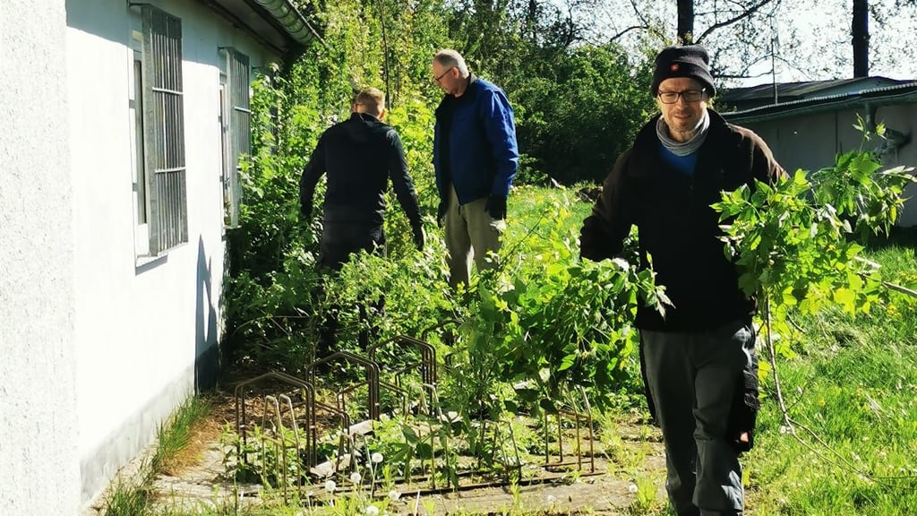 Vereinsmitglieder entfernten den Wildwuchs am Gebäude der Freibads in Westerhausen.