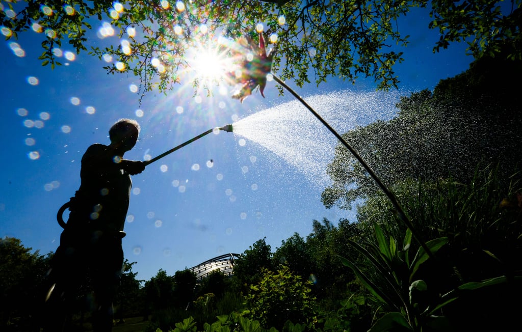 Die Sonne zeigt sich Mitte Mai häufig in Sachsen-Anhalt.