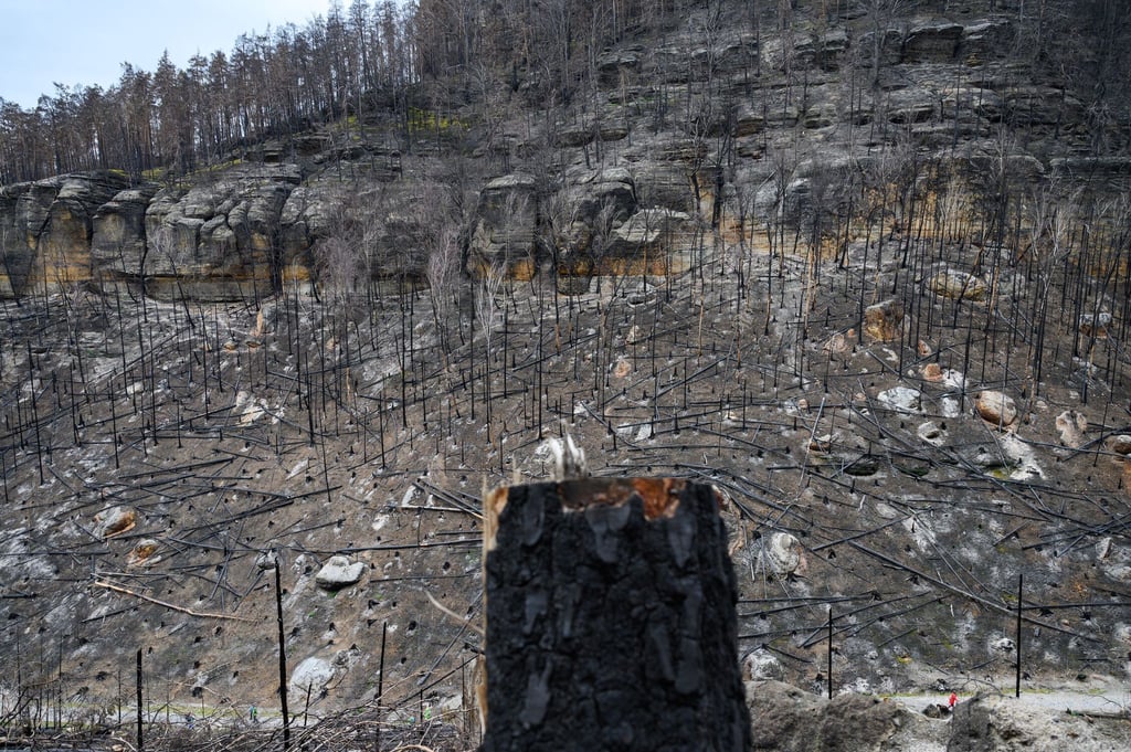 Gegen die geplante Kürzung von Mitteln für den Brandschutz regt sich in Sachsen Unmut (Archivbild).