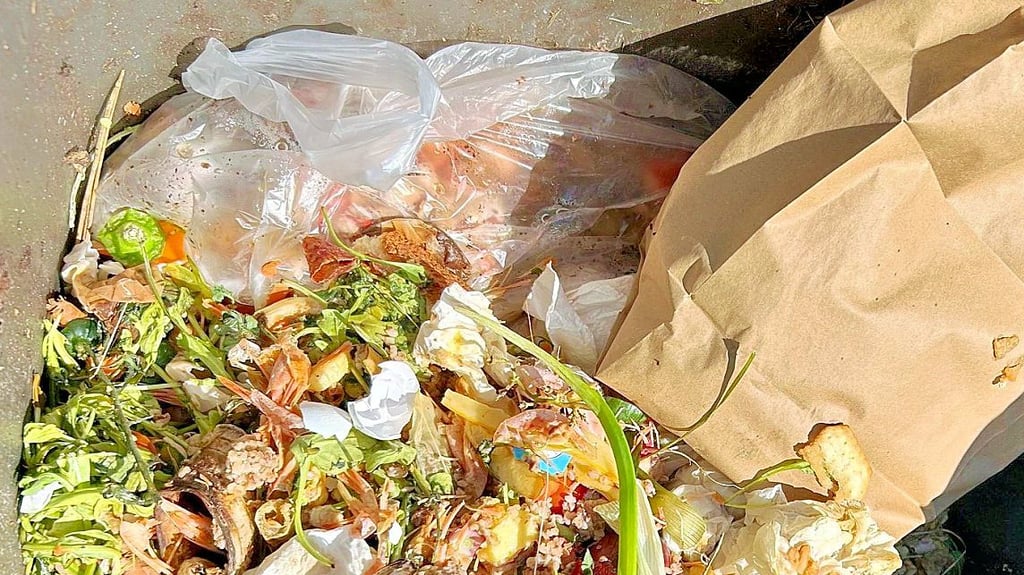Blick in eine Biotonne in Merseburg. Plastik gehört dort nicht rein.