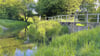 Stendaler fordern, das Wehr zwischen Uchte und Stadtsee auf Höhe der Erich-Weinert-Straße zu öffnen. Durch die Bewegung soll mehr Sauerstoff in das Gewässer gelangen, um ein Fischsterben wie vor zwei Jahren oder Mitte August 2019 zu verhindern. 