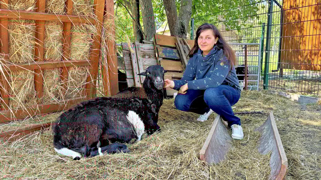Stefanie Endtricht streichelt das Mutterschaf „Pünktchen“. Dieses trächtige Tier hat den Angriff unbeschadet überstanden.