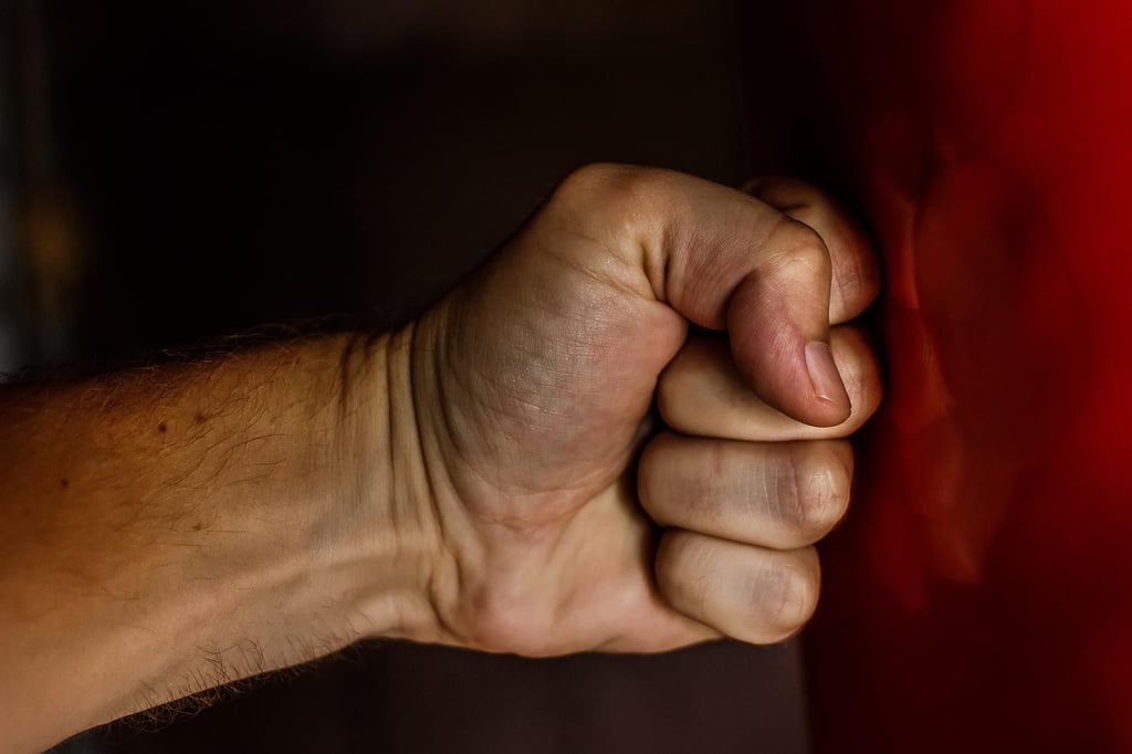Zwei Männer haben einen Wohnungsbesitzer in Halberstadt brutal zusammengeschlagen und ausgeraubt.