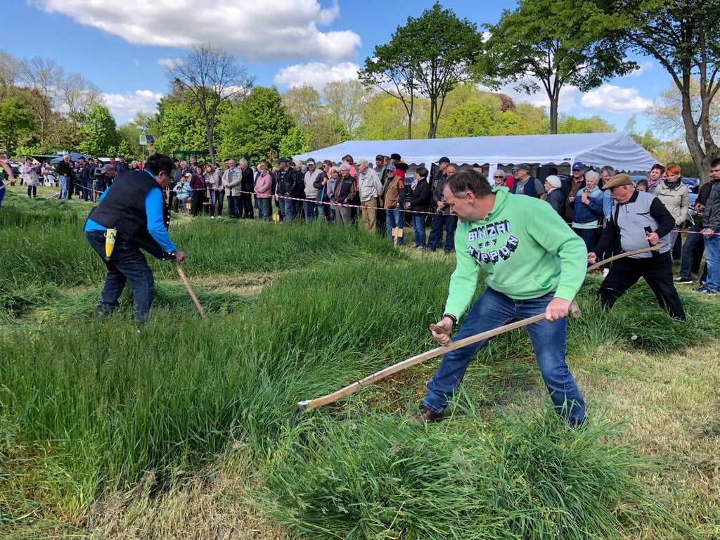 Das Mähen mit der Sense - wie hier im Jahr 2019 - steht am Samstag an der Langen Wiese in Meisdorf (Harz) im Mittelpunkt.