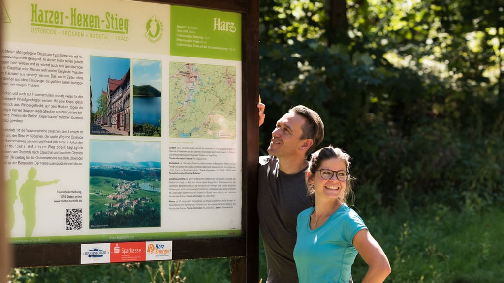 Der Hexen-Stieg ist die Ausnahme, viele Wanderwege im Harz brauchen mehr Pflege.