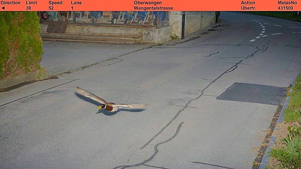 Das Beweisfoto der Polizei.