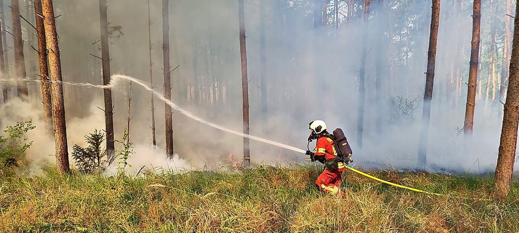 Der Brand lag in unwegsamen Gelände.