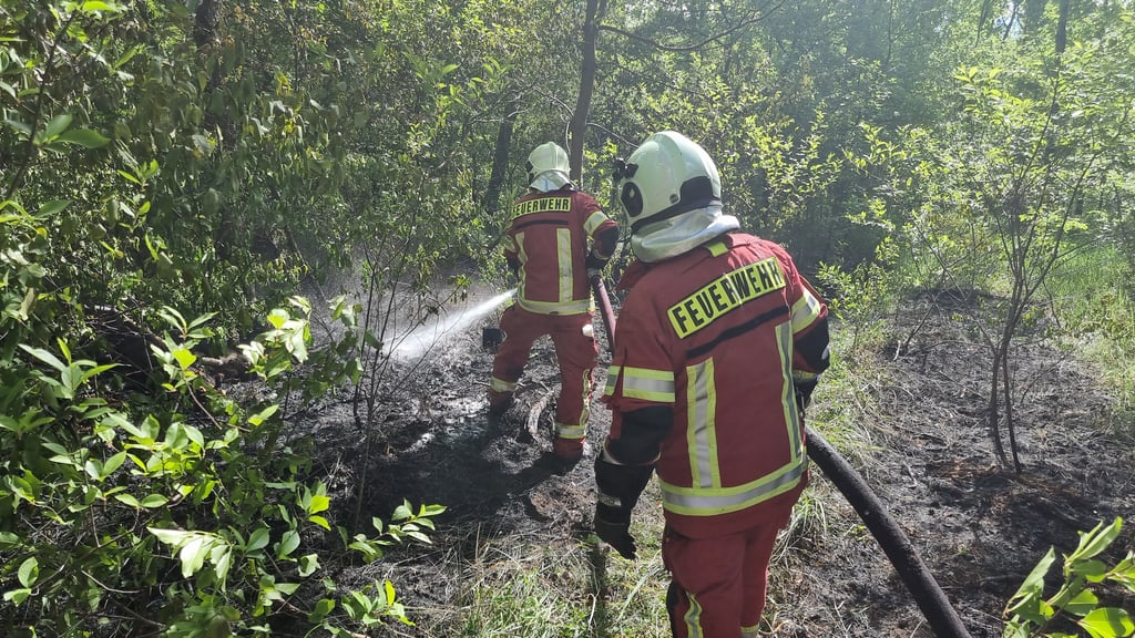 Auch am Donnerstag mussten die Feuerwehrleute wieder 2.000 Quadratmeter Wald löschen.