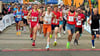 Der Goitzsche-Marathon in Bitterfeld braucht Unterstützung. 