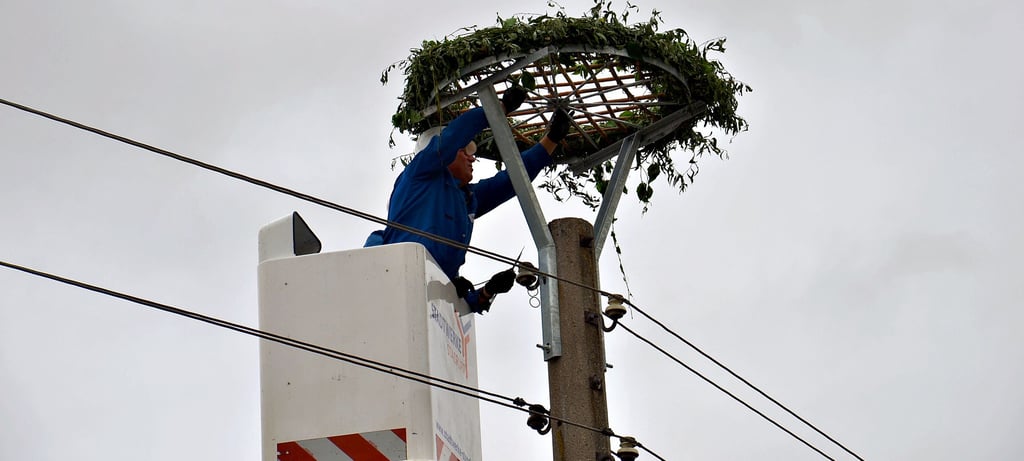 Nisthilfen für Störche haben Monteure der Stadtwerke Staßfurt in Löderburg bereits mehrere installiert. Storchenfreunde wollen aber mehr.