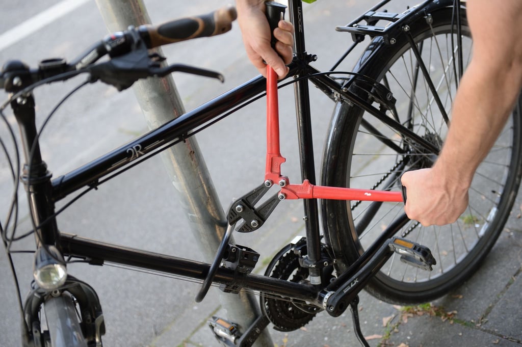 Der Verurteilte soll hochwertige Fahrräder gestohlen haben. (Symbolbild)