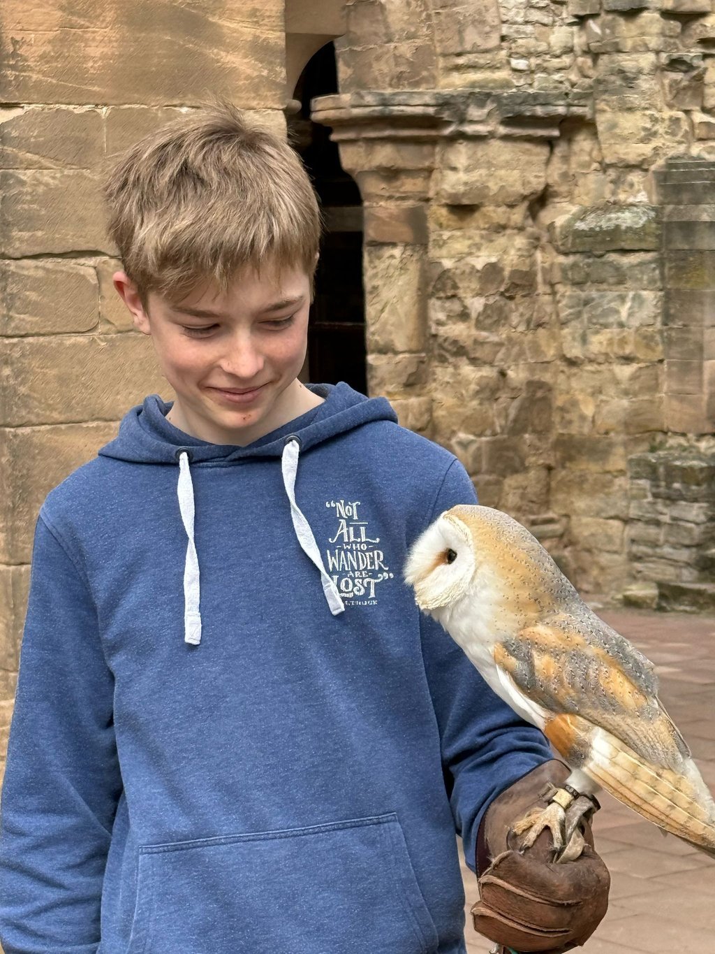Die Jagdfalkenshow im Kloster Memleben ist ein spannendes Erlebnis für die ganze Familie.