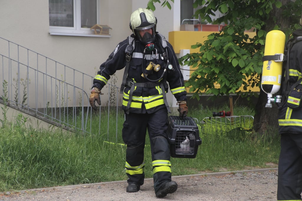 Auch Tiere wurden von der Feuerwehr aus dem Haus gerettet.