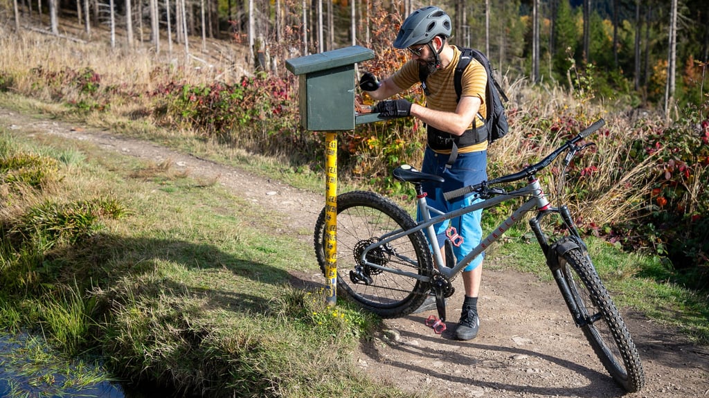 Max Schmidt ist für die Erweiterung von "KartoGuide Harz" mit dem Mountainbike 420 Kilometer Trails im Westharz abgefahren. Hier sammelt er den Stempel 126 der Harzer Wandernadel Lochstein auf dem Weg am Oberen Schalker Graben bei Festenburg ein.
