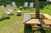 In Magdeburg gibt es eine neue "Bierwiese". Dort können Gäste in der Sonne essen und trinken. 