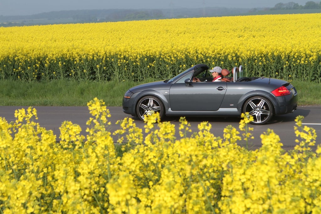 Freie Fahrt für Frischluftfans: Nach dem Winterschlaf sorgt eine kleine Proberunde für Sicherheit.