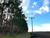 Wie hier zwischen Schlaitz und Burgkemnitz gibt es auch im Bereich Altmark noch immer Stromfreileitungen.