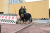 Auch am Freitag wurde vor der Kalbenser Turnhalle fleißig gearbeitet.