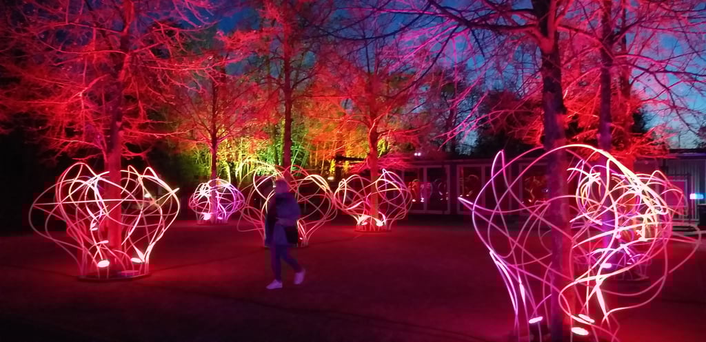 Lichtinstallation bei den Paradiesischen Nächten 2025 im Elbauenpark Magdeburg – Teil der abendlichen Frühlings-Lichtshow mit über 220 leuchtenden Skulpturen.