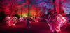 Lichtinstallation bei den Paradiesischen Nächten 2025 im Elbauenpark Magdeburg – Teil der abendlichen Frühlings-Lichtshow mit über 220 leuchtenden Skulpturen.