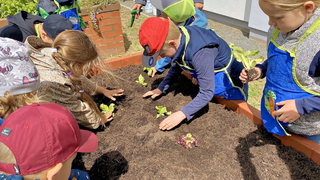Mit Feuereifer sind die Schweinitzer Vorschulkinder bei der Sache. Sie wollen unbedingt, dass ihre Pflänzchen groß werden.