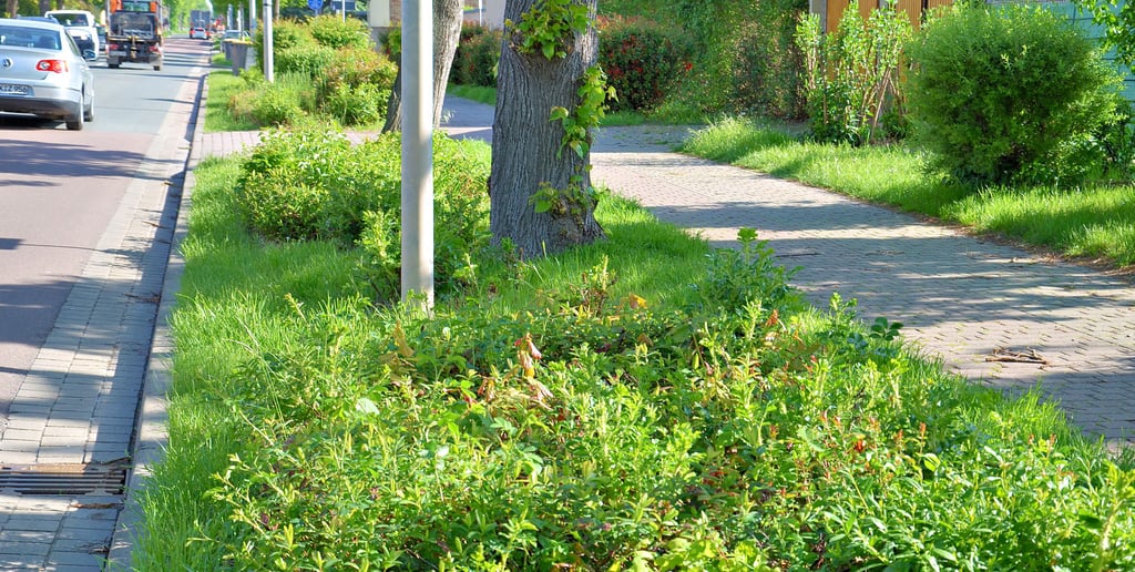 Solche kleinteiligen Grünflächen wie an der Durchfahrtstraße in Neundorf mit Sträuchern und Büschen sind sehr aufwändig kurz zu halten. Sie bereiten deshalb den Mitarbeitern des Stadtpflegebetriebs Staßfurt große Sorgen, wenn es um den zeitlichen Aufwand geht.