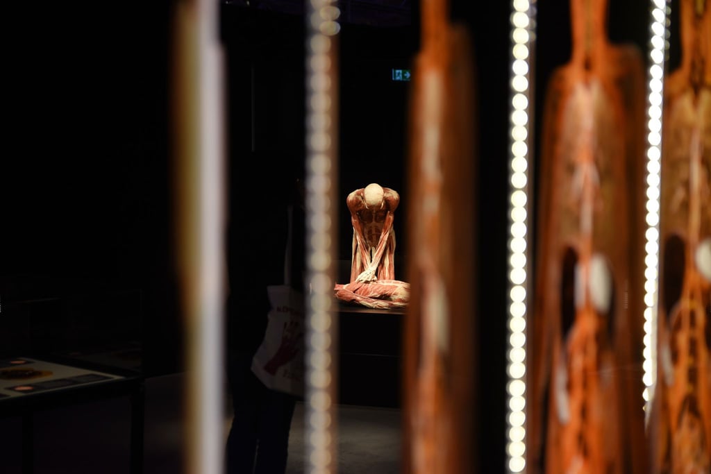 Zur Eröffnung der Ausstellung kamen bereits zahlreiche Besucher in die Magdeburger Hyparschale.