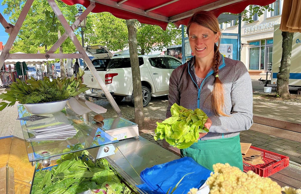 Was bisher vom Bauernhof Höniger in Döbitzschen frisch vom Feld verkauft wurde, gibt es jetzt am Mittwochvormittag in der Zeitzer Innenstadt: Saisonales Gemüse, verschiedene Salate und frische Kräuter bietet Denise Berz dort an.