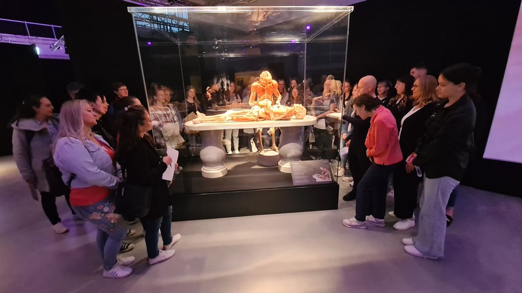 Schüler der Fachweiterbildung der Richtungen Intensiv- und Anästhesie- sowie Notfallpflege des Magdeburger Uniklinikums vor dem Plastinat "Der Herzchirurg".