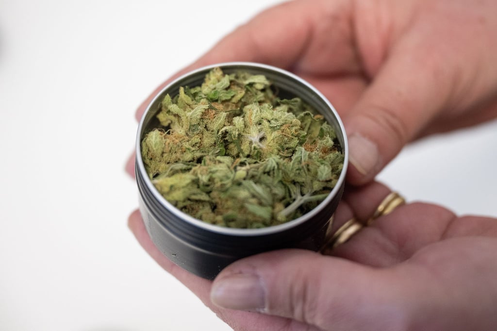 Cannabis-Abgabe gestartet: In Oranienburg können Mitglieder eines Cannabisvereins erstmals legal Gras erhalten.