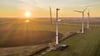 Der Windpark Elster, hier ein Ausschnitt, zählt laut Investor VSB zu den größten Repowering-Projekten in Europa.