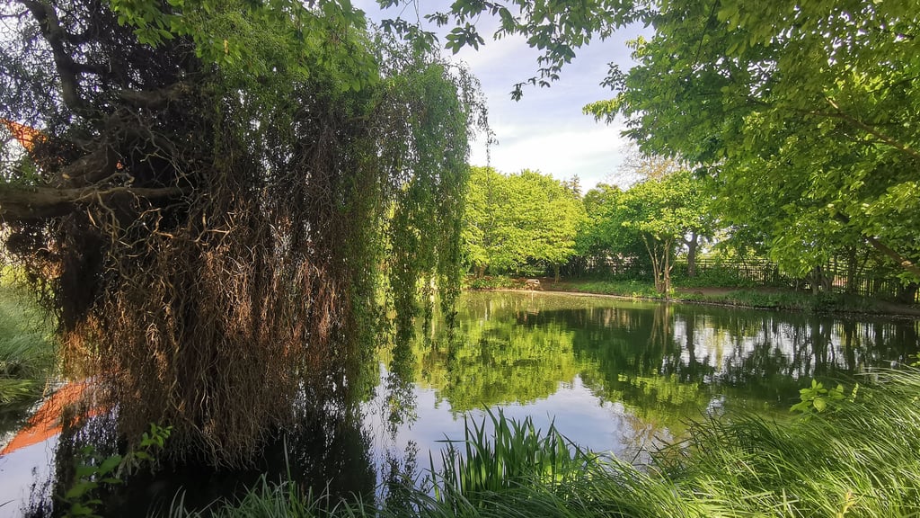Der Teich am Thieberg in Sargstedt ist kein Gemälde von Monet, sondern Realität.