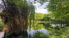 Der Teich am Thieberg in Sargstedt ist kein Gemälde von Monet, sondern Realität.