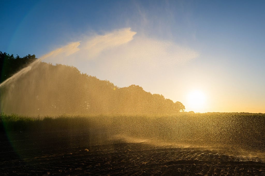 Die Dürre in Niedersachsen hält an, es ist kein langanhaltender Regen in Sicht. (Symbolfoto)