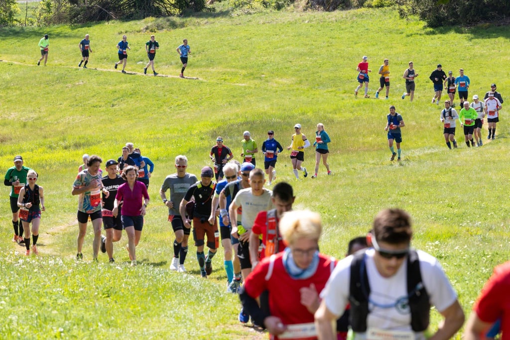 Tausende nahmen am Rennsteiglauf teil.