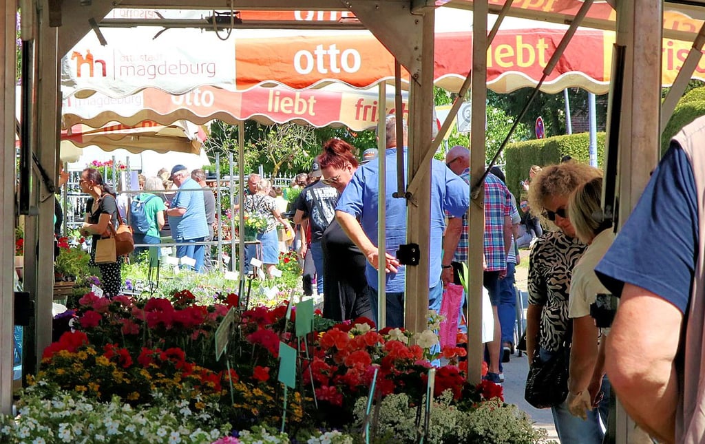 Der Bunte Markt in Möser am 1. Mai.