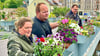 Tina und Andreas Baumgraß aus Plötzkau  sowie Frank Geisler hängen die neu bepflanzten Blumenkästen auf der Fußgängerbrücke in die Behälter ein. 